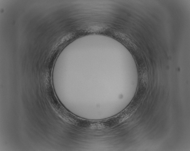 X0000072950591200608181408