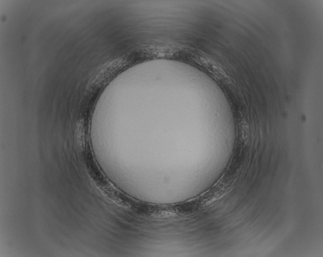 X0000072950594200608181408