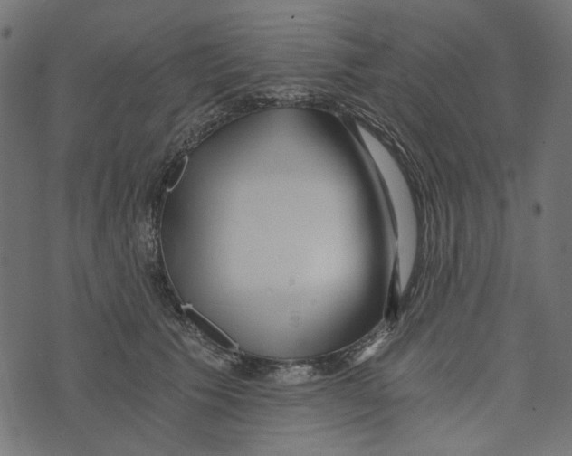 X0000072950609200608181408