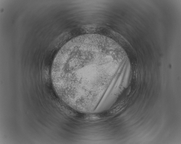 X0000072950610200608181408