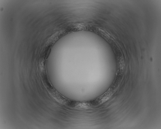 X0000072950611200608181408