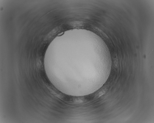 X0000072950618200608181408