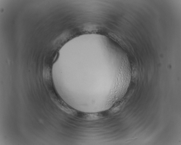 X0000072950623200608181408