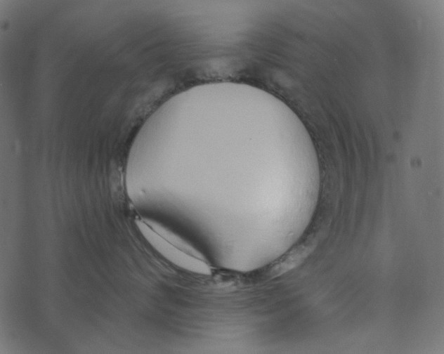 X0000072950624200608181408