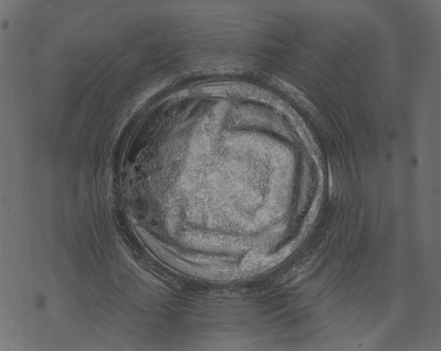 X0000072950627200608181407