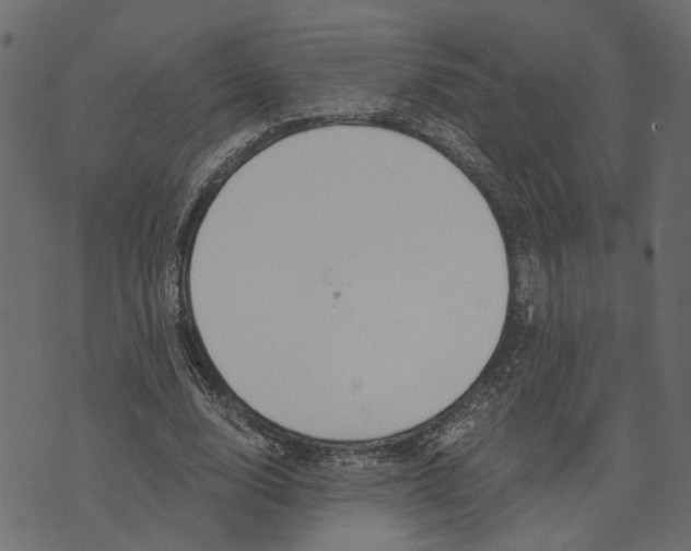 X0000072950632200608181407