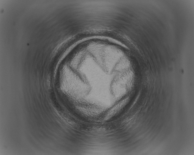 X0000072950640200608181407