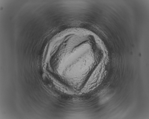 X0000072950641200608181407