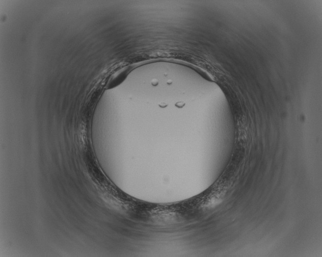 X0000072950648200608181407