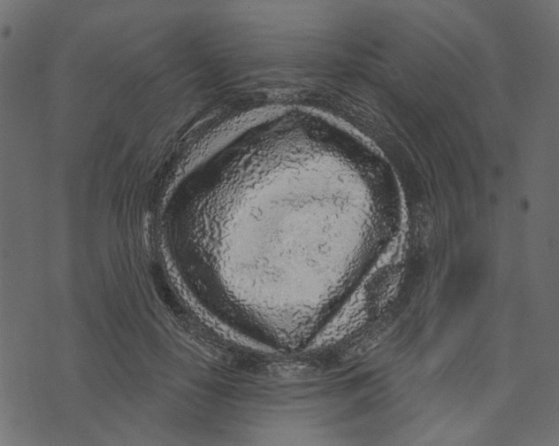 X0000072950650200608181407