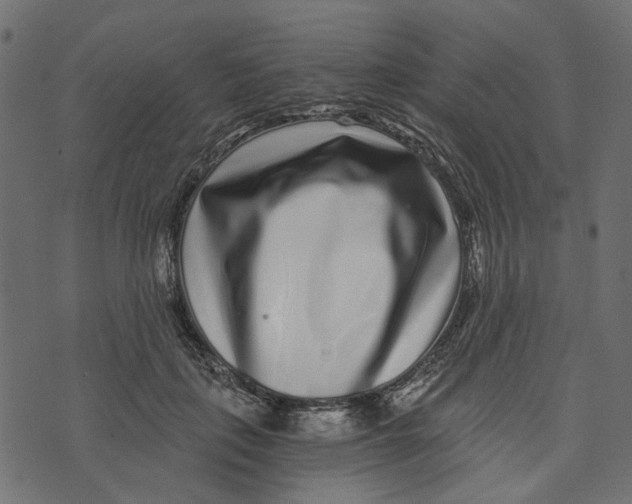X0000072950651200608181407