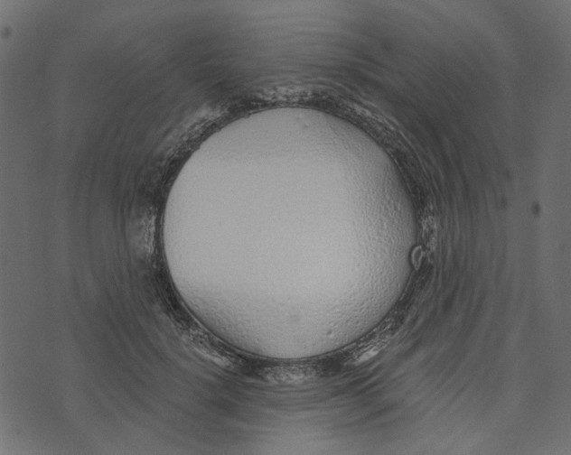X0000072950652200608181407