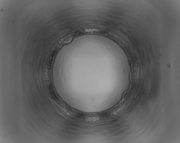 X0000072950653200608181407
