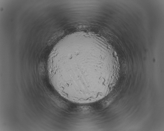 X0000072950654200608181407
