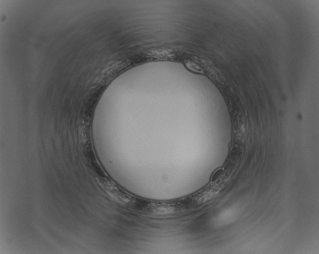 X0000072950658200608181407