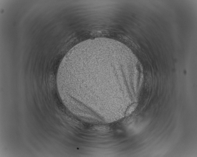 X0000072950659200608181407