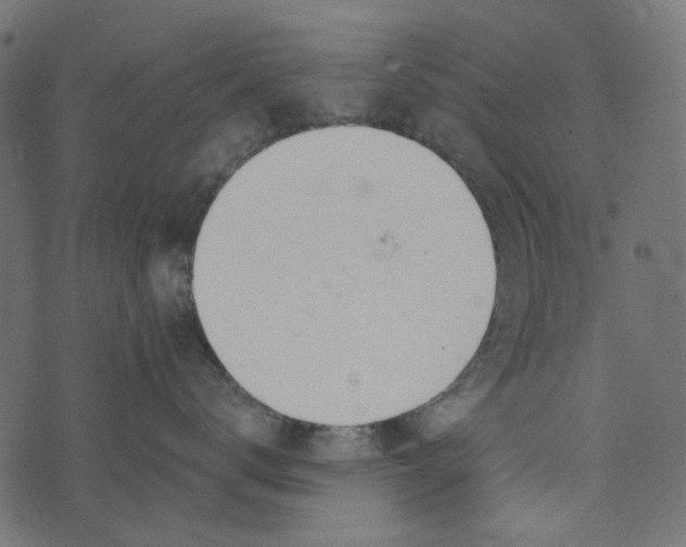 X0000072950672200608181407