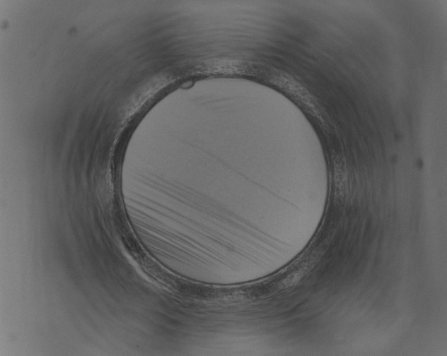 X0000072950674200608181407