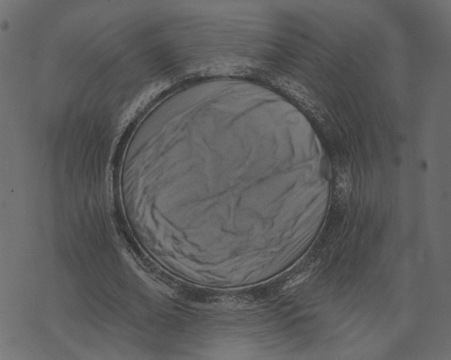 X0000072950678200608181407