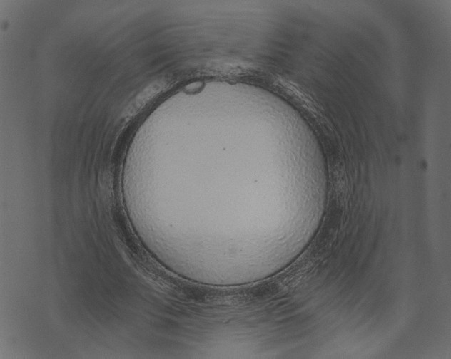 X0000072950679200608181407