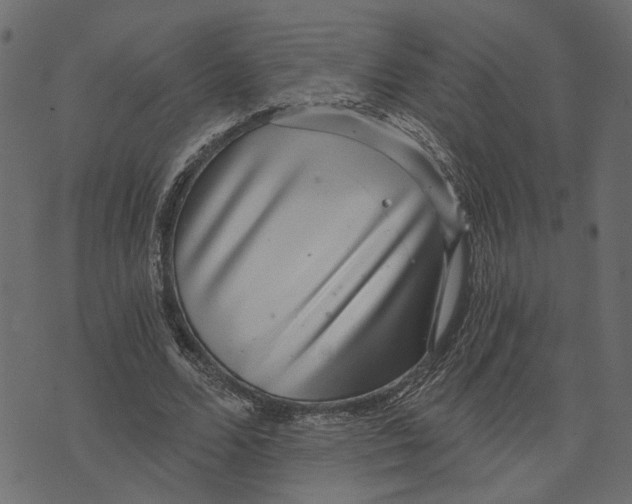 X0000072950680200608181407