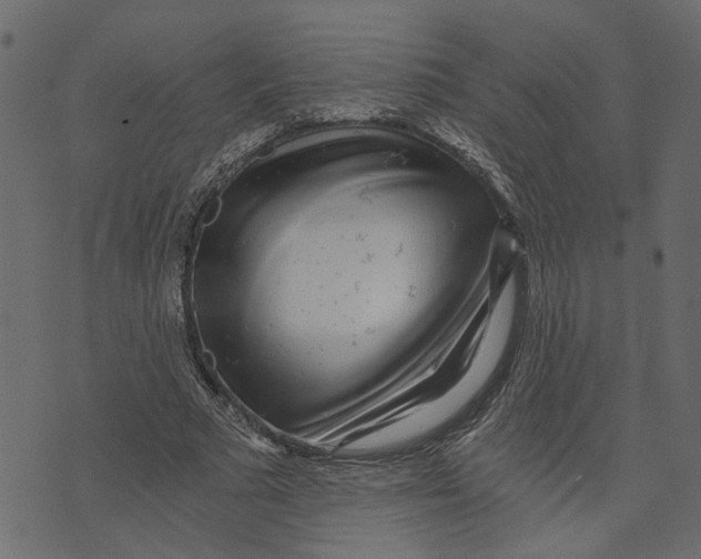 X0000072950681200608181407