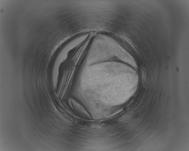 X0000072950684200608181407