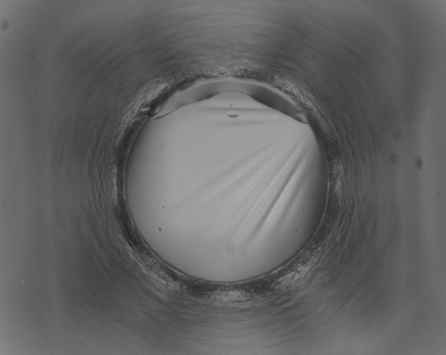 X0000072950685200608181407