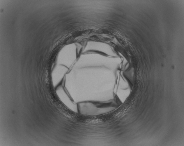 X0000072950689200608181406