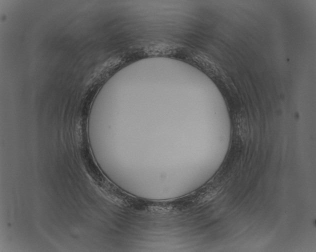 X0000072950690200608181406