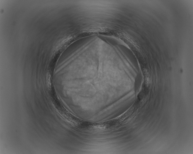X0000072950692200608181406