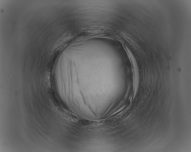 X0000072950696200608181406