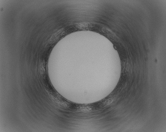 X0000072950702200608181406