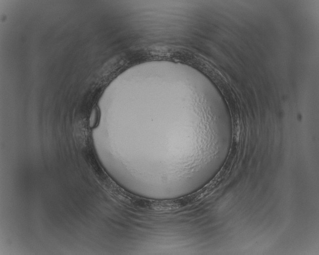X0000072950707200608181406