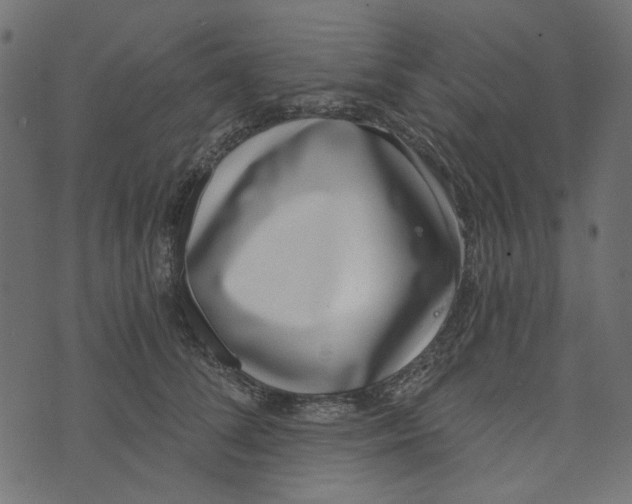 X0000072950708200608181406