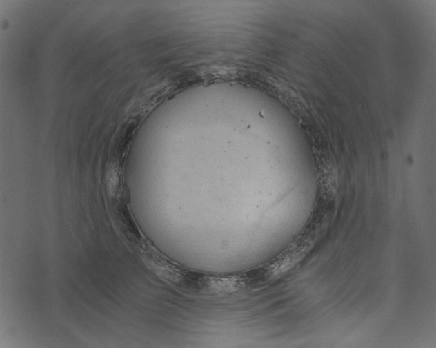 X0000072950709200608181406