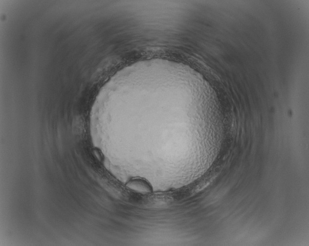 X0000072950711200608181406