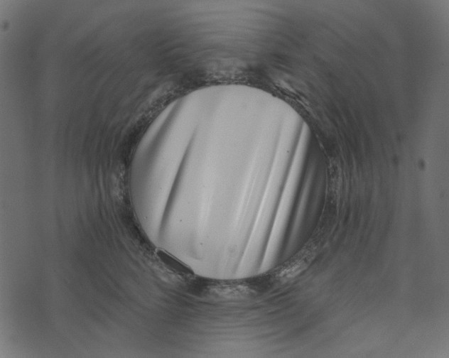 X0000072950712200608181406