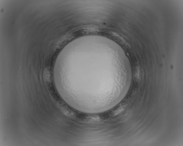X0000072950715200608181406