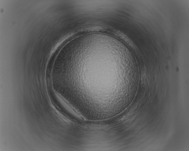 X0000072950722200608181405