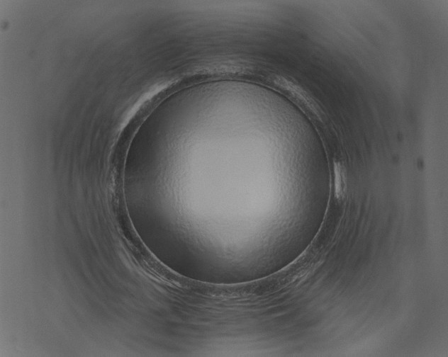 X0000072950723200608181405