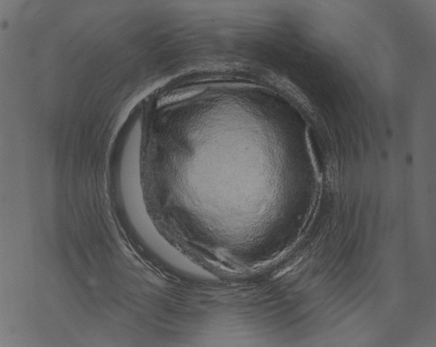 X0000072950724200608181405