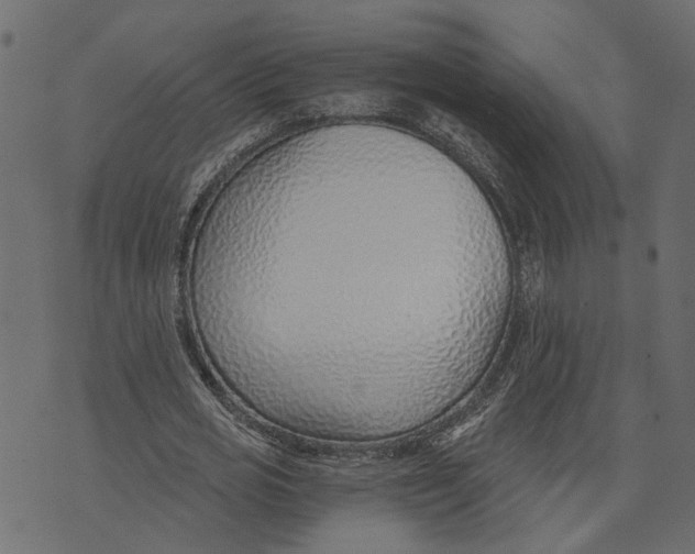 X0000072950725200608181405