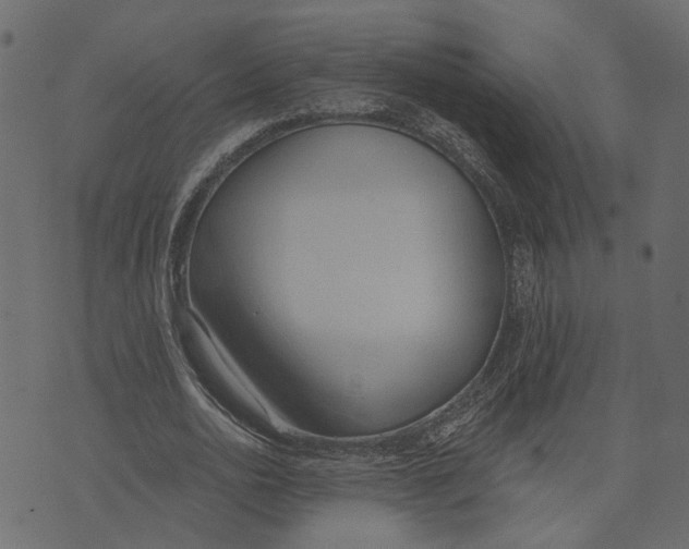 X0000072950726200608181405