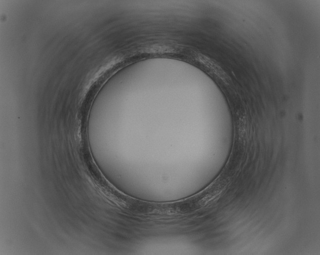 X0000072950727200608181405