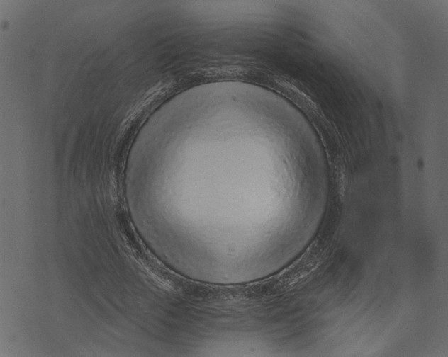 X0000072950729200608181405