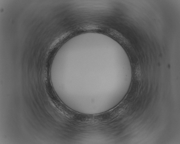 X0000072950732200608181405