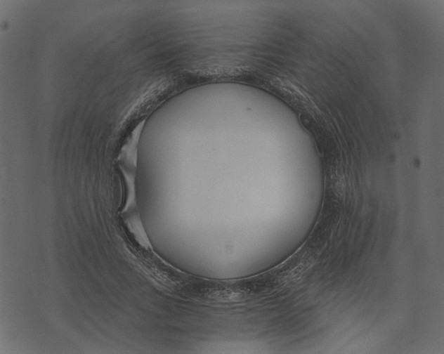 X0000072950735200608181405