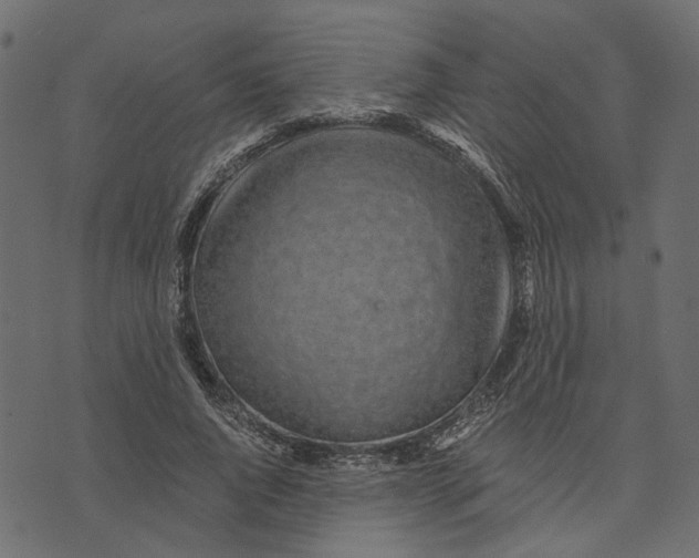 X0000072950736200608181405
