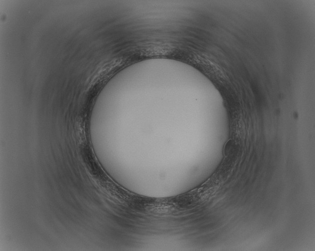 X0000072950743200608181406